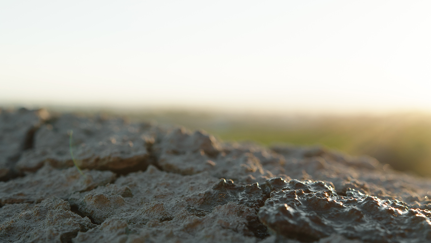 Cracks In Dry Soil