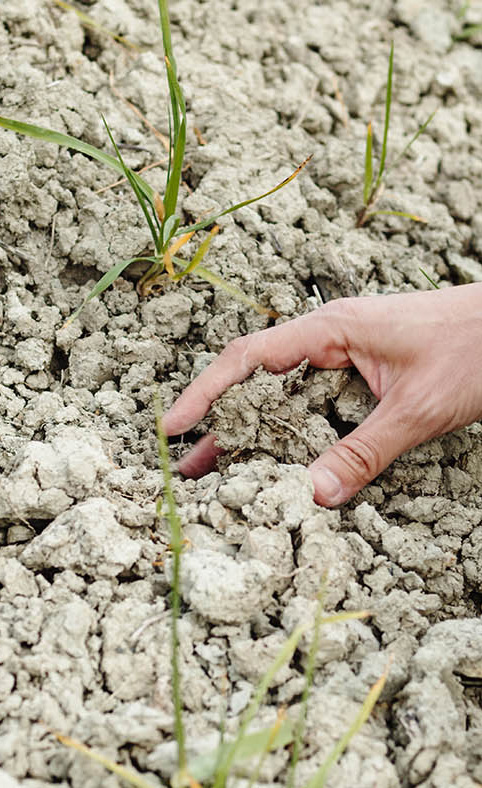hand touches dry and dry ground.